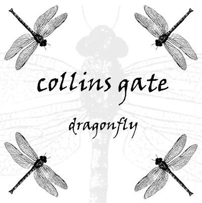 collins gate - dragonfly